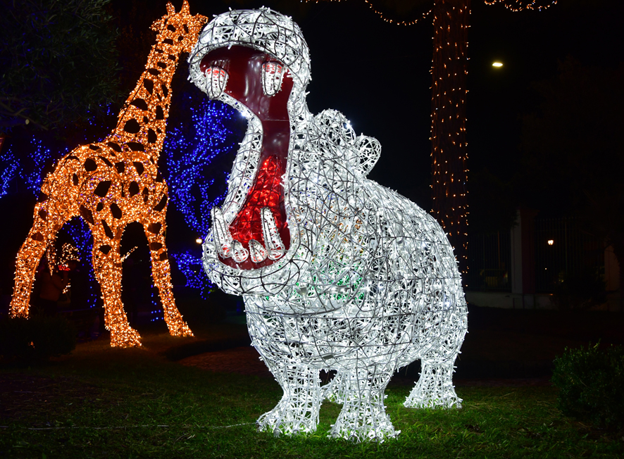 A Natale Gaeta si illumina con le ‘favole di luce’ - Travelnostop.com